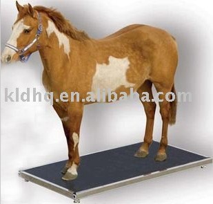 Horses Scale/Cattle Scale/Animal Scale 